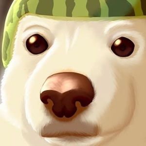 Meet your Posher, Timothy